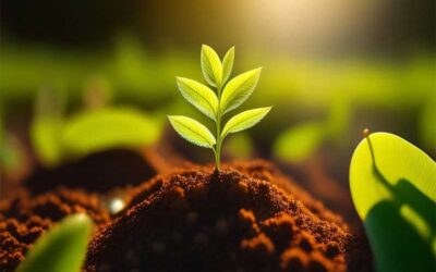 Discover the Power of Organic Living