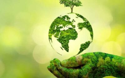 Sustainable Choices for a Greener Tomorrow