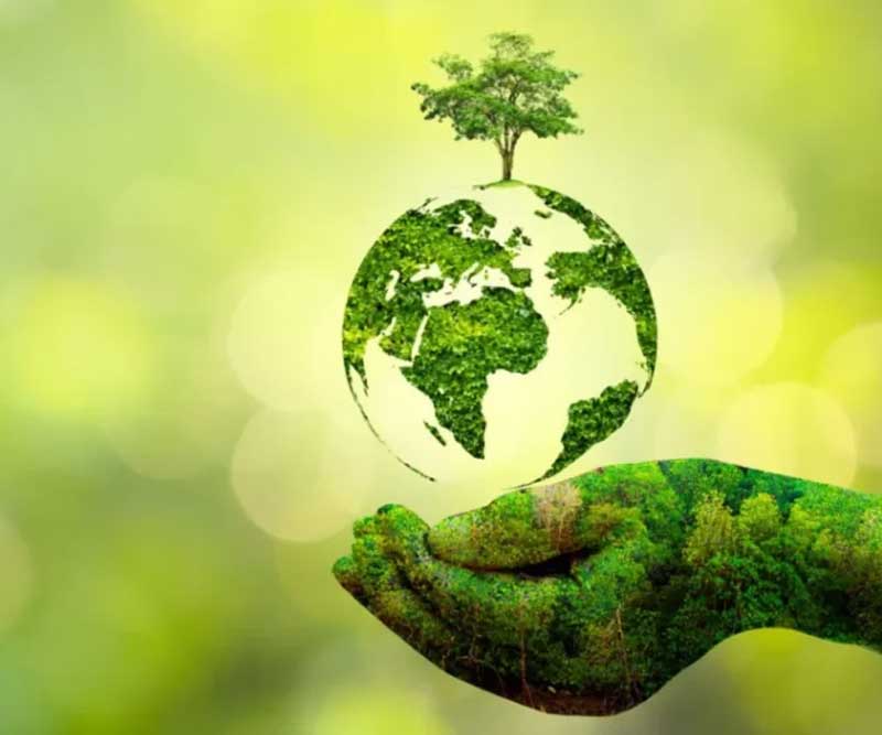 Sustainable Choices for a Greener Tomorrow